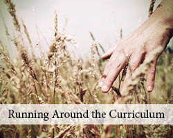 Running Around the Curriculum